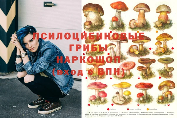 кокаин перу Белокуриха