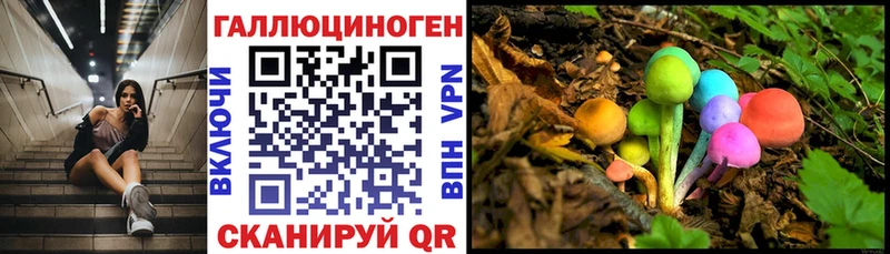 Псилоцибиновые грибы Psilocybe Пикалёво